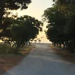 Assamaris