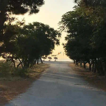Assamaris