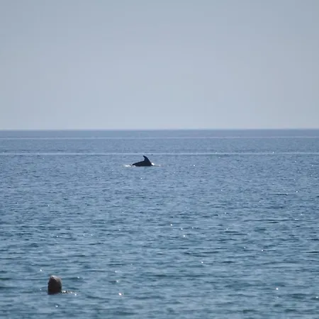 Assamaris * Asprovalta