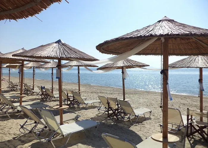 Assamaris * Aszproválta