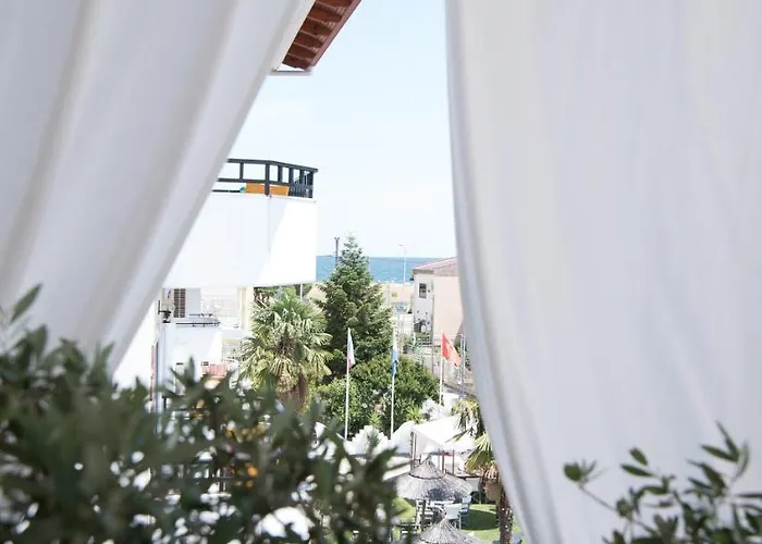 Assamaris * Aszproválta