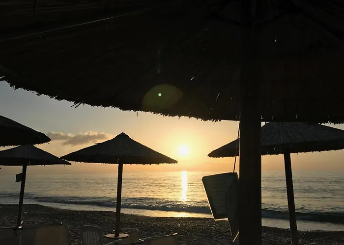 Assamaris * Aszproválta